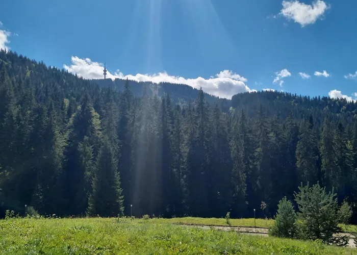 Elit Pamporovo Accommodation