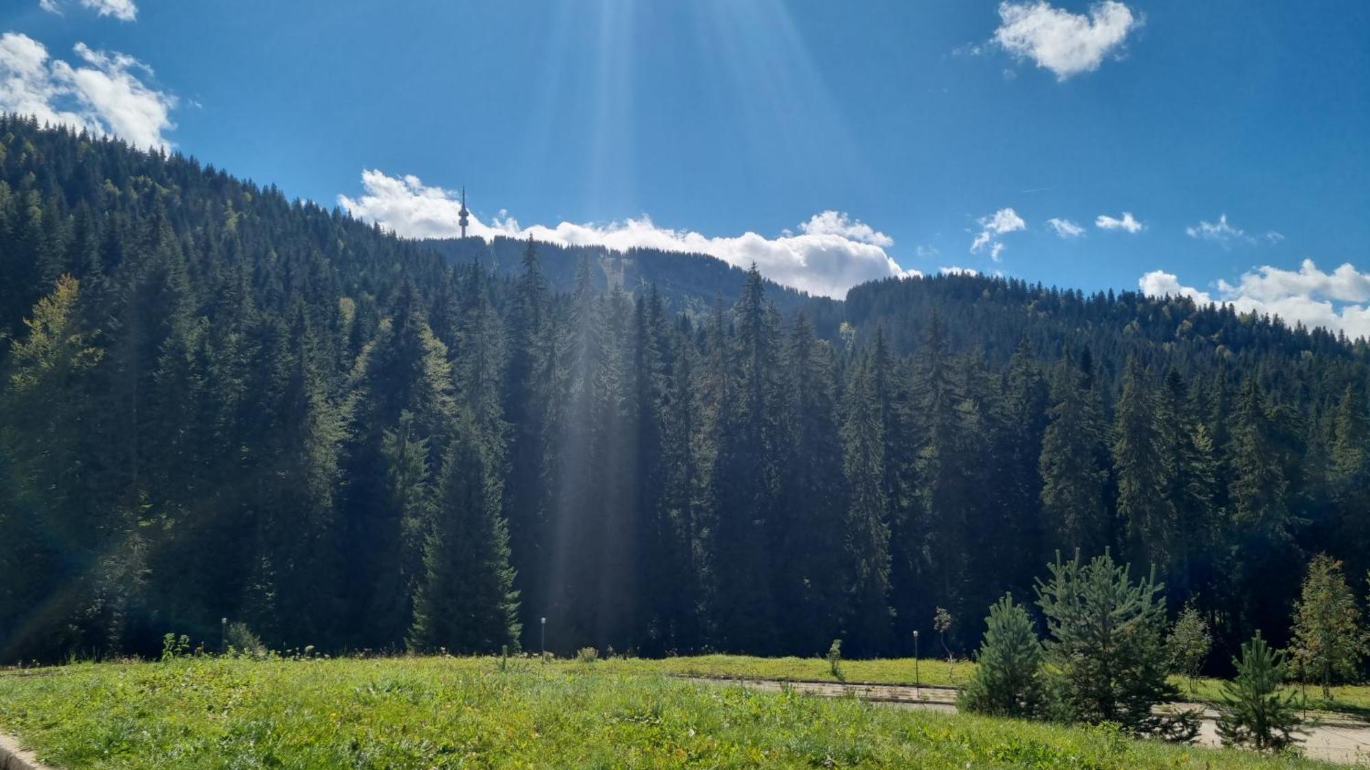 Elit Pamporovo