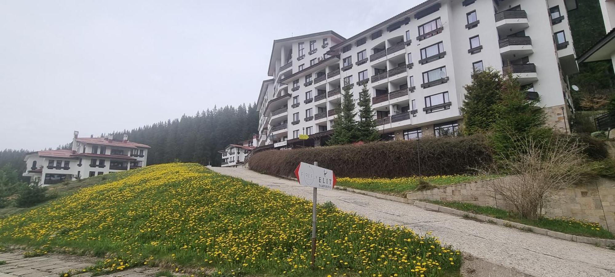 Apartment Elit *