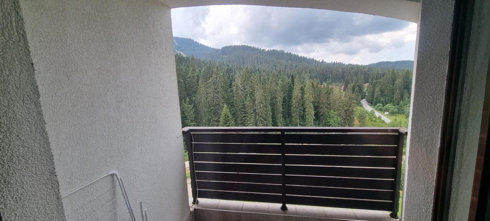 Apartment Elit